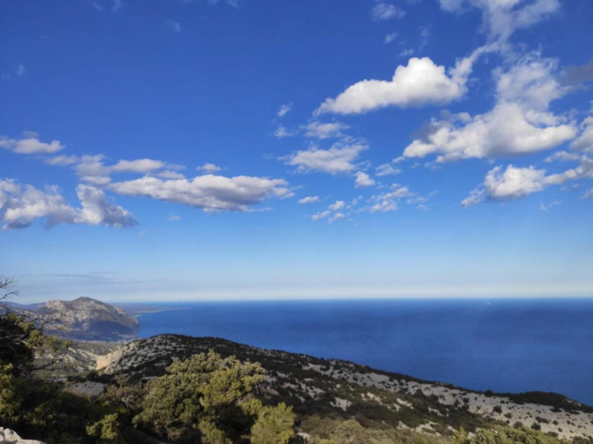 Apartment Conchiglie 2 Cala Gonone Exteriér fotografie
